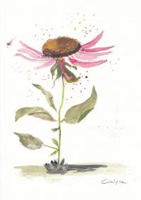 Aquarelles 20230915 7