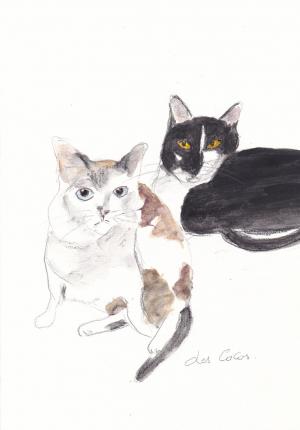 Des cocos de Béthune