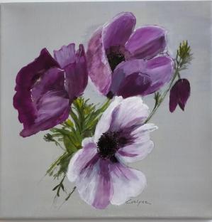 Les anemones de nicole